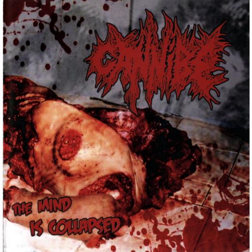 Cannibe - The Mind is Collapsed CD