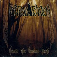 Piarevaracien - Down the Broken Path CD